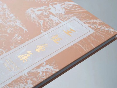 本书是对作者王征老师“坚韧不拔,矢志不移地追逐艺术梦”作为艺术项目的一次精炼萃取，不仅展示了王老师取得的丰硕成果，出版画册是也是让纸上展览永不落幕。